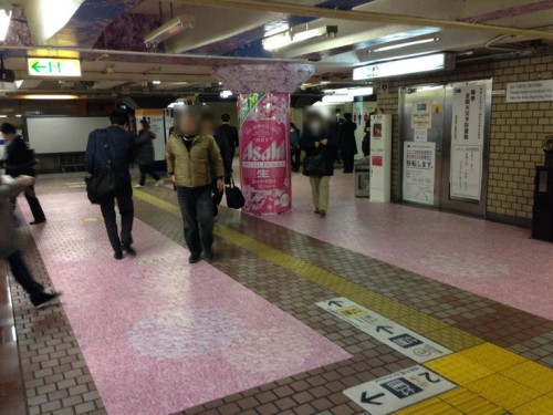 ueno_sakura4