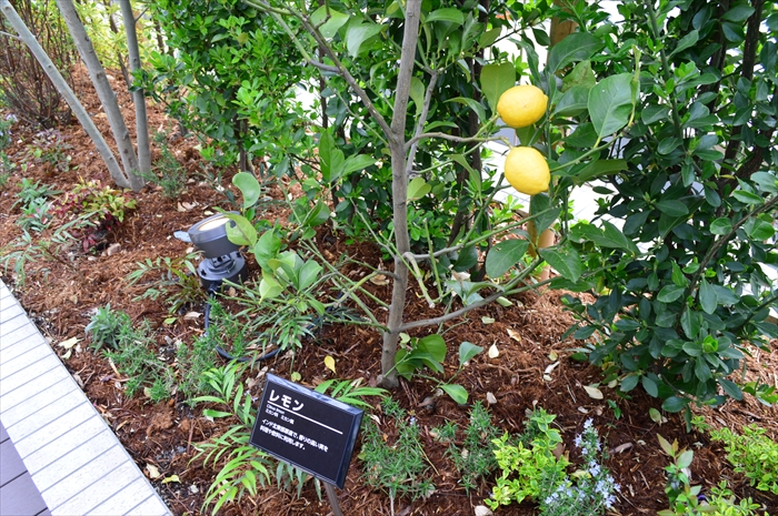 キョウエイアド 交通広告 バスタ新宿