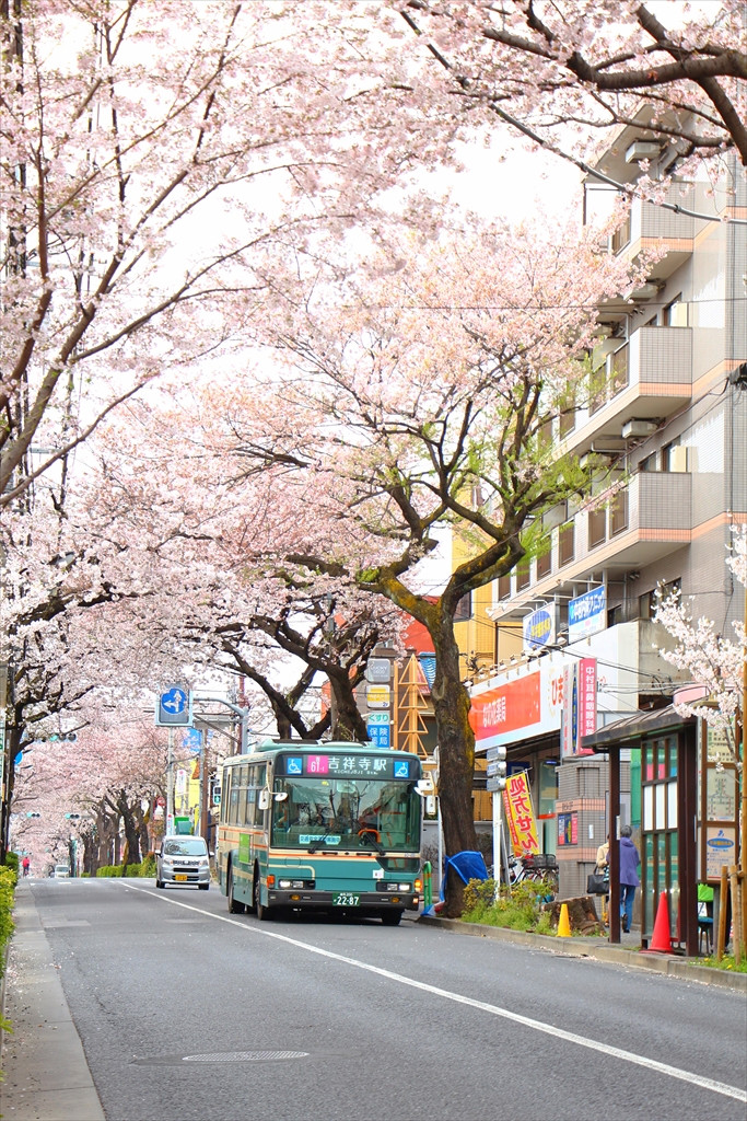 西武バス 西武バス広告 西武バス路線図 大泉学園 大泉学園学園通り キョウエイアド 交通広告
